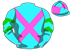 HRSI12-308901.png