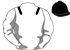 HRSI12-339471.png